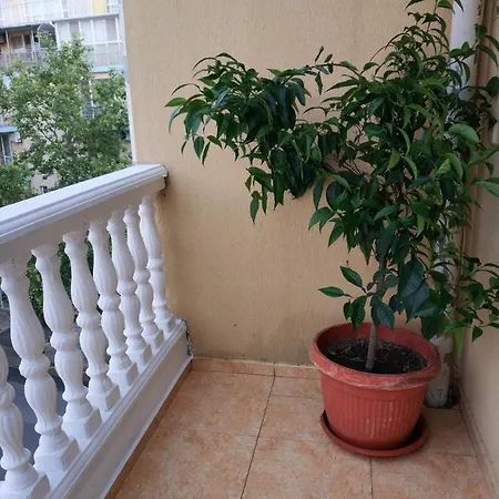 Palmas Appartement