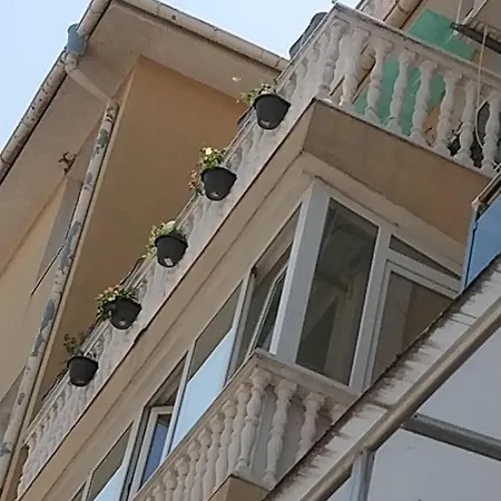 Palmas *