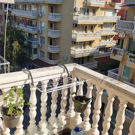 Palmas *