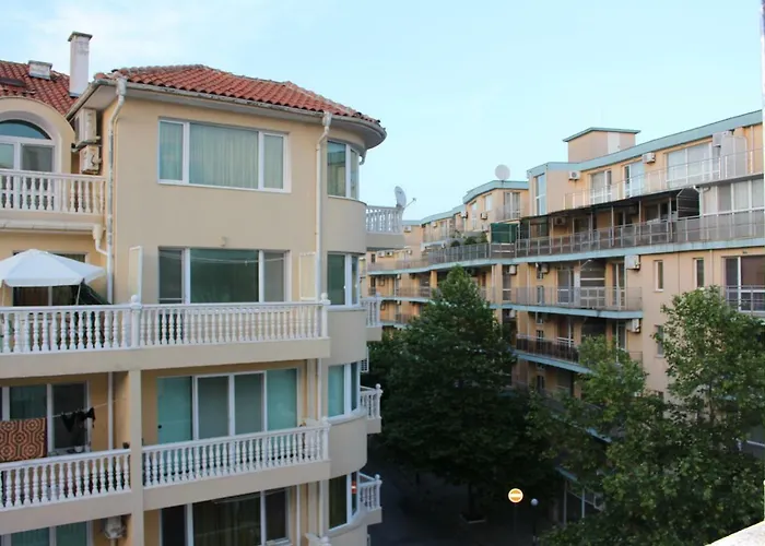 Palmas * ポモリエ